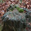 20101030_260